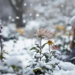 Featured image placeholder 16:9